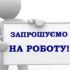 КП “Полігон ТПВ” шукає на роботу водія автотранспортного засобу – ловця безпритульних тварин